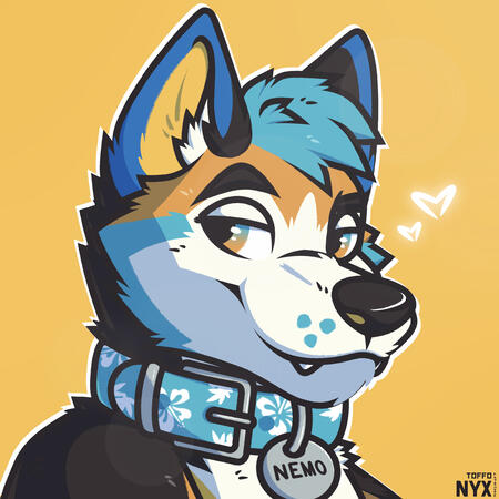 Nemo (Coastalwoof) 2023 Headshot